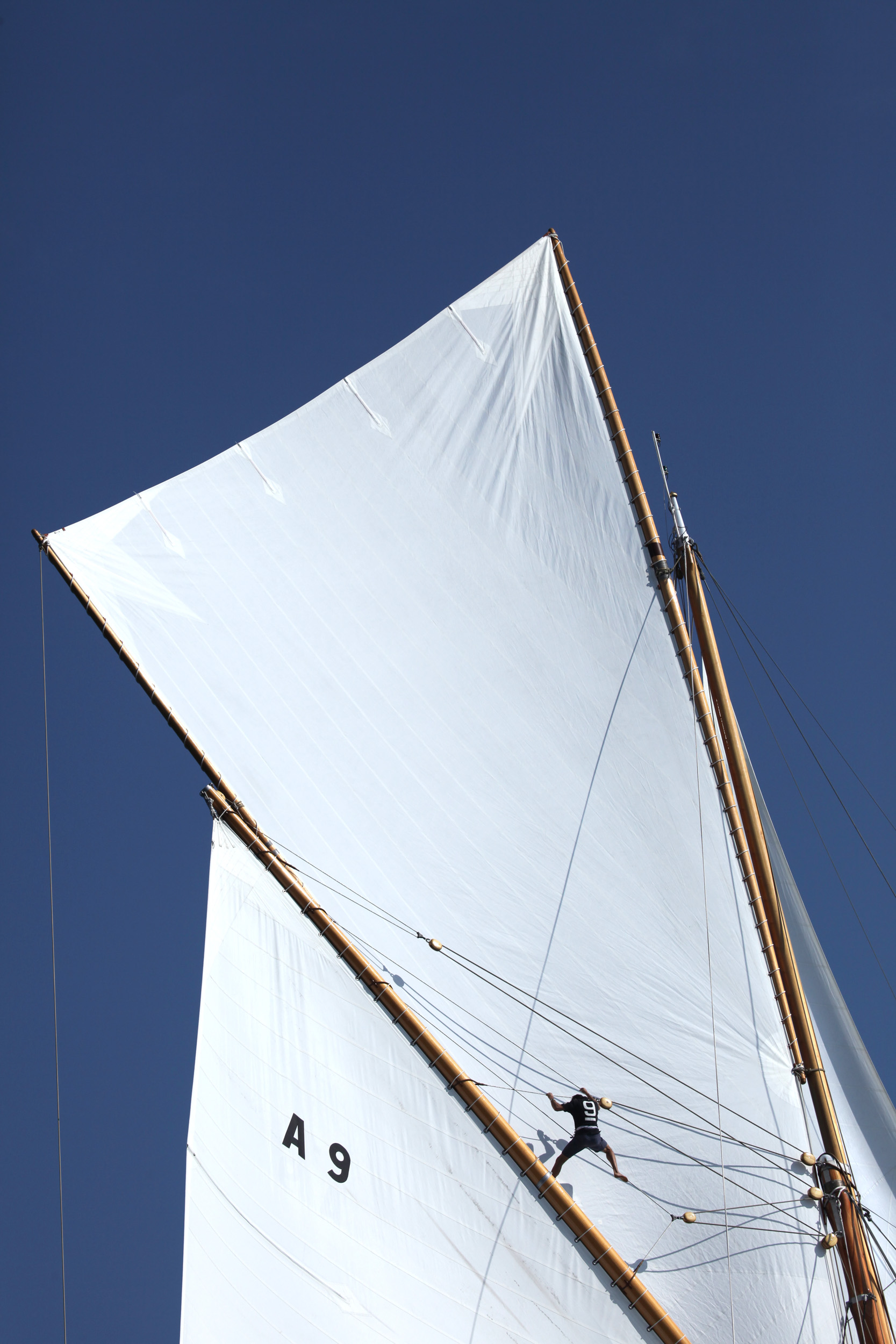 Equipier de voilier escaladant les cordages de la grand-voile